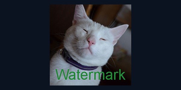 Photo with a green "Watermark" text overlay added by the plugin